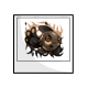 Burnt Equilor Photo Burnt Equilor Photo