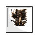 Burnt Ercuw Photo Burnt Ercuw Photo