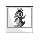 Cartoon Newth Photo Cartoon Newth Photo