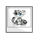 Dalmatian Addow Photo Dalmatian Addow Photo