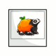 Halloween Leido Photo Halloween Leido Photo