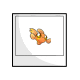Minipet Equilor Photo Minipet Equilor Photo