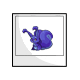 Minipet Knutt Photo Minipet Knutt Photo