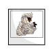 Mummy Astro Photo Mummy Astro Photo