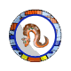 Orange Dracone Plate Orange Dracone Plate