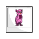 Pink Walee Photo Pink Walee Photo