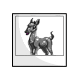 Silver Viotto Photo Silver Viotto Photo