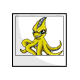 Yellow Ushunda Photo Yellow Ushunda Photo
