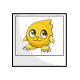 Yellow Xoi Photo Yellow Xoi Photo