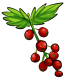 red_currant.png