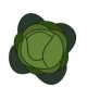 Cabbage Cabbage