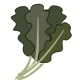 Collard Greens Collard Greens