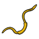 Gold Worm Gold Worm