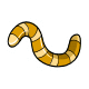 Gold Meal Worm Gold Meal Worm