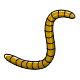 Gold Striped Worm Gold Striped Worm